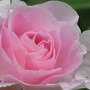 Img_3716