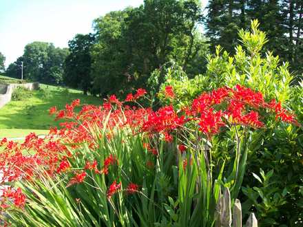 Aberglasney Gardens