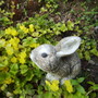 Rabbit Ornament surrounded by Creeping Jenny [Lysimachia nummeria] 07.08 (Lysimachia nummularia)