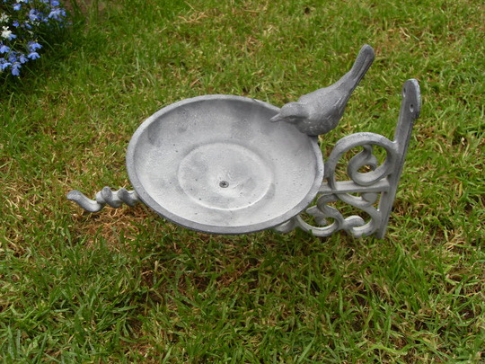 bird feeder
