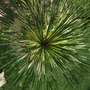 Dscf0584_edited