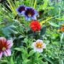 26_jul_08_024