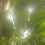 Eden_project_tropical_biome