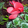 Dsc00067_edited