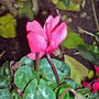 Dsc00068_edited