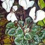 Dsc00069_edited