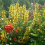 Dscf0177