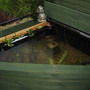 New pond