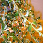 Goldfish (Nematanthus gregarius)