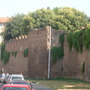 Dscn2917