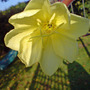 Dsc00062_edited
