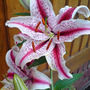 Dsc00172_edited