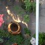 a cornerof the garden - mom's garden 6/08