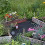 Little compass garden