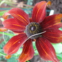 Dsc00561