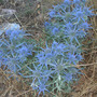 Dscn2955