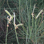 Dscn2958