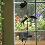 Window boxes out window
