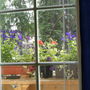 Window view of porch