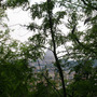 Dscn1884