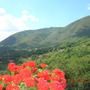 Dscn1921
