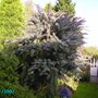Pict0056