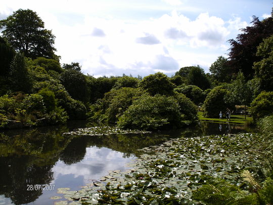 The pool, complete with koi carp.