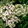 P1040002