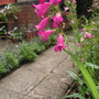 Pict0209