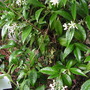 Pict0235