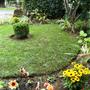 View from front room.
