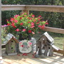 Aug_19_08_006