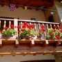 flowers_008.jpg