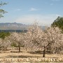 From_laptop_065