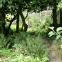 Dscf0010