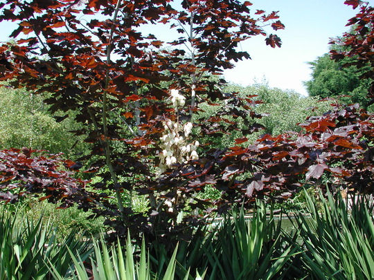 DSCN1291.jpg