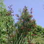 Dscn1292