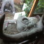 my concrete head