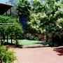 new garden