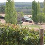 Shiraz