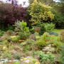 rockeryfromw808.jpg