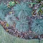 Dsc00066_edited