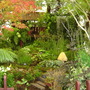 .Shrewsbury Flower Show