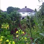 Wild Area One