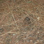 Dscn3074