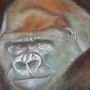 the gorilla finished at last