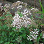 10_27_69.jpg
