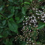 10_27_71.jpg