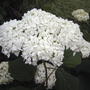 2008-07-20_033