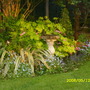 Evening Sunshine